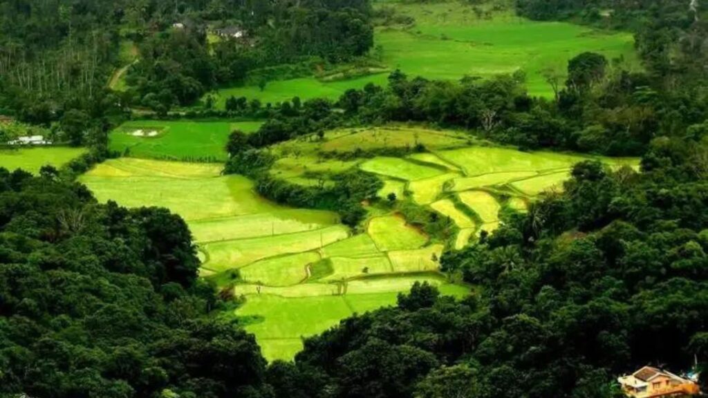 Coorg: A Perfect Place for your Honeymoon