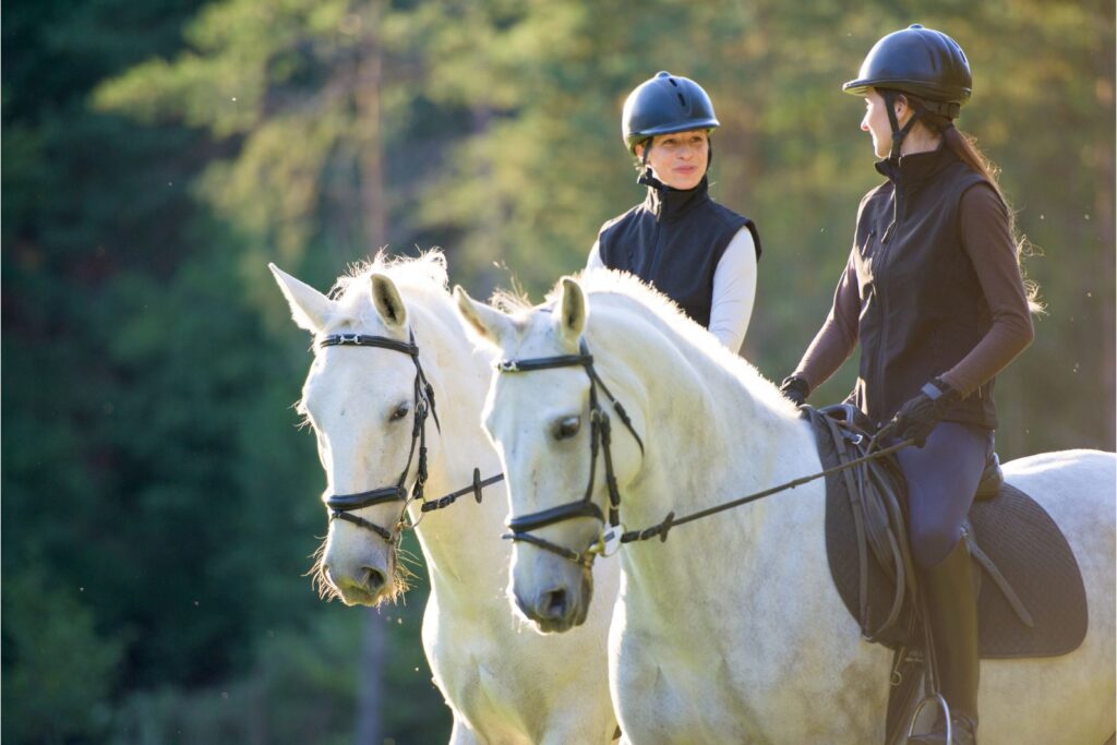 5 Horseback Riding Basics for Beginners