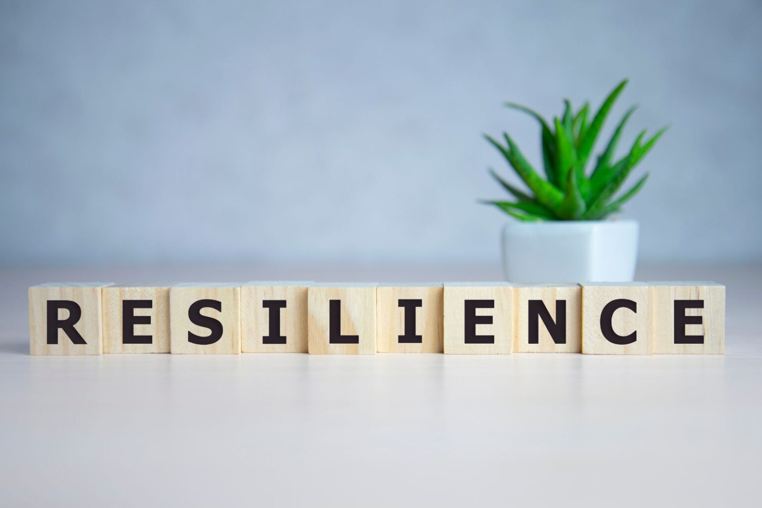 Resilience Testing: What You Need to Know - MetroMSK