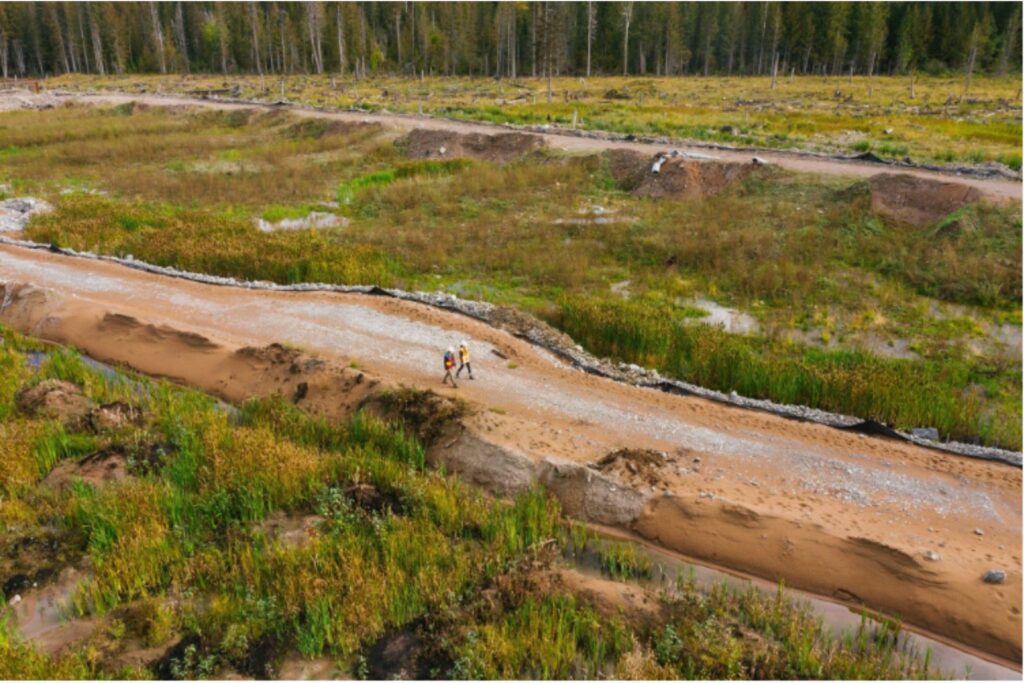 Innovative Solutions: Advancements in Environmental Services Technology