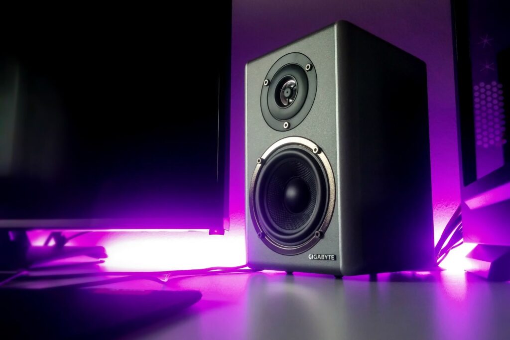 Tips for Selecting the Ideal Speaker for Your House