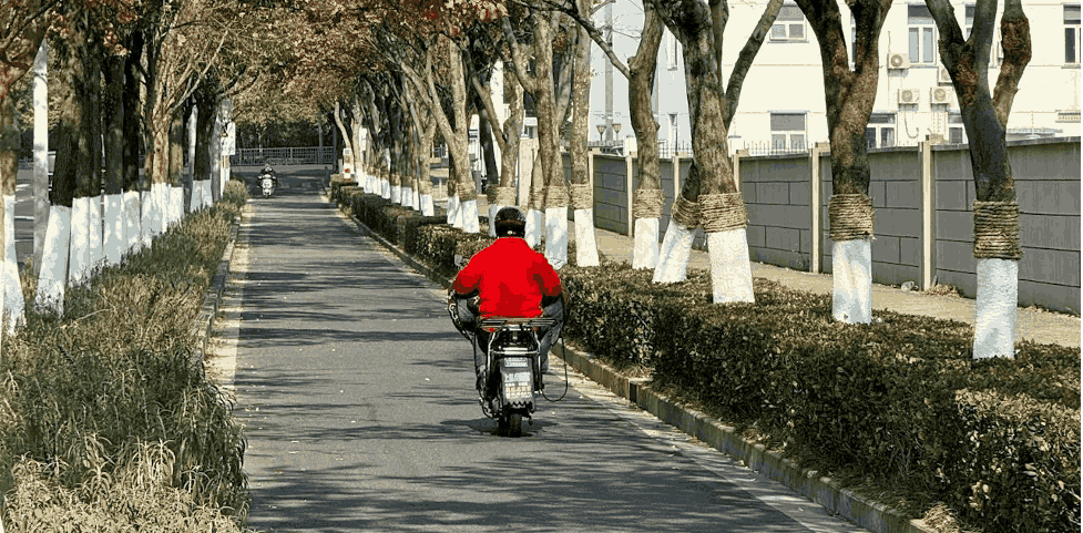 plan your daily commute after moving to a new area with different commute options