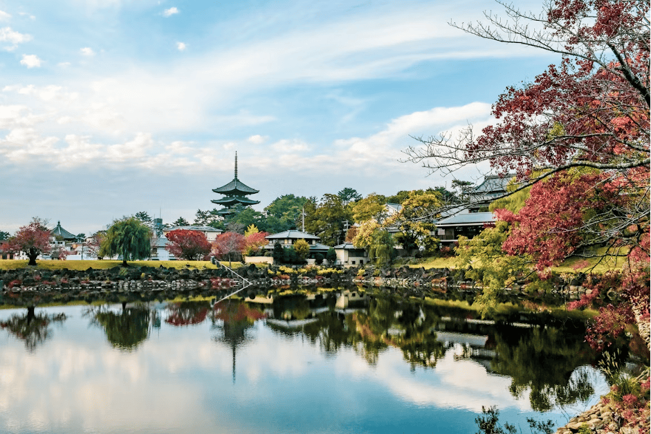 Forget the Magnets: A Curated Nara Souvenir Guide for Japan First-Timers