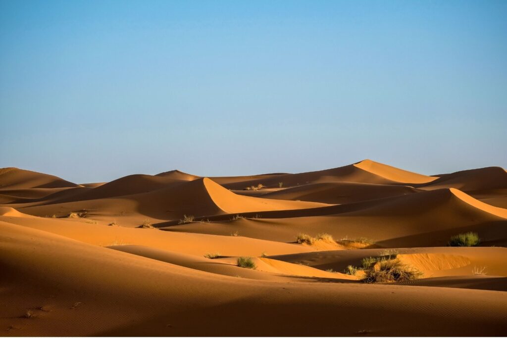 High desert temperatures are prompting vehicle owners to upgrade heat protection